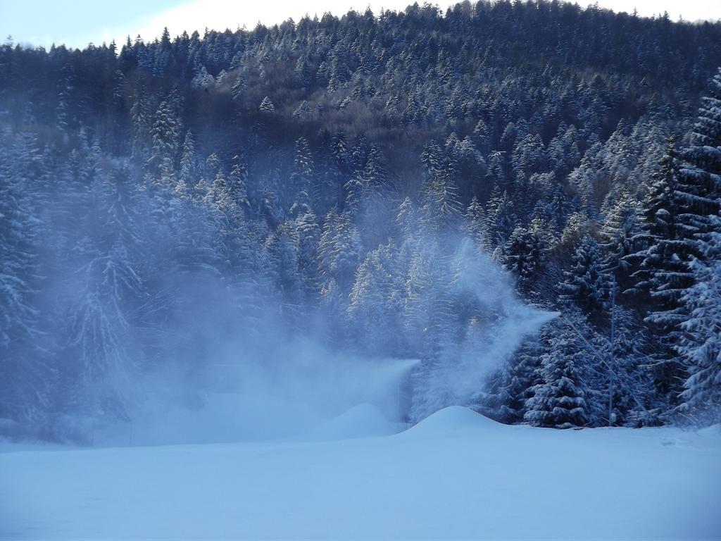 Pensiunea Casa Zmeilor Dragus Exteriér fotografie