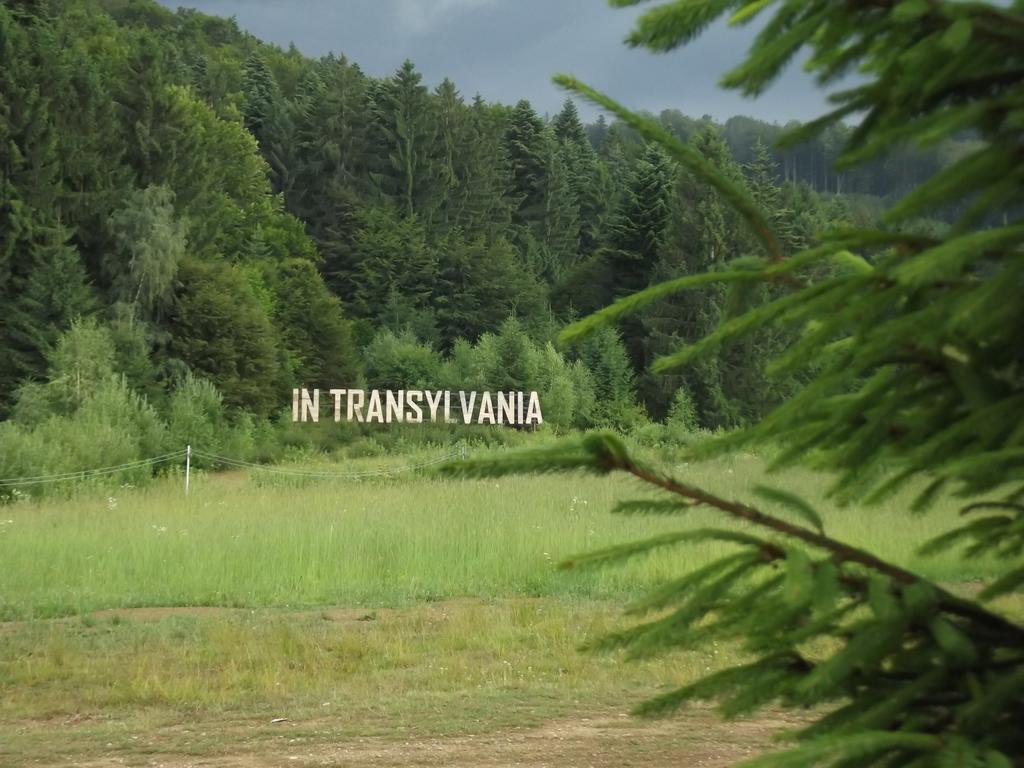 Pensiunea Casa Zmeilor Dragus Exteriér fotografie