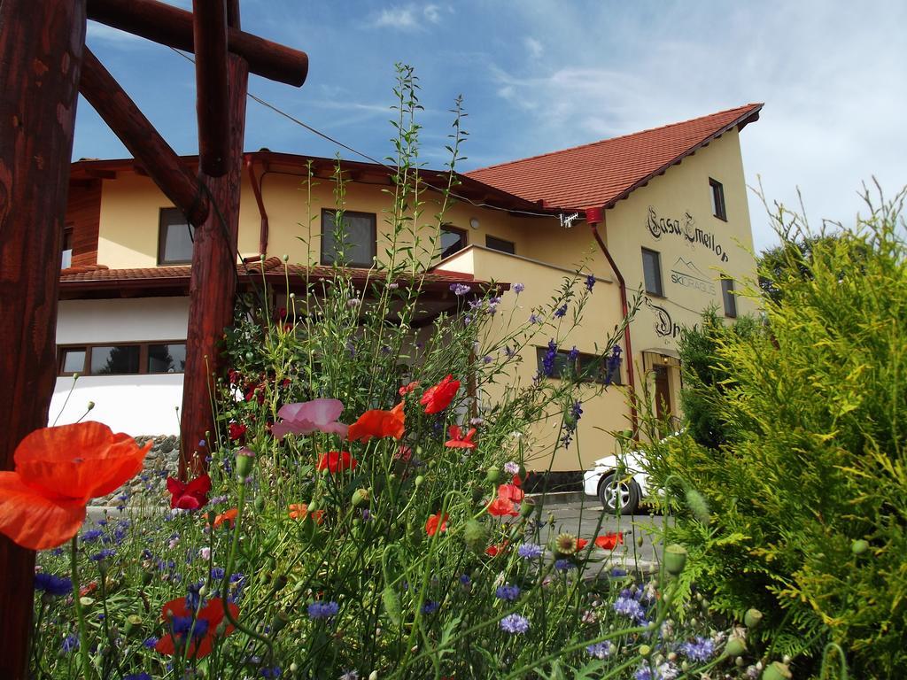 Pensiunea Casa Zmeilor Dragus Exteriér fotografie