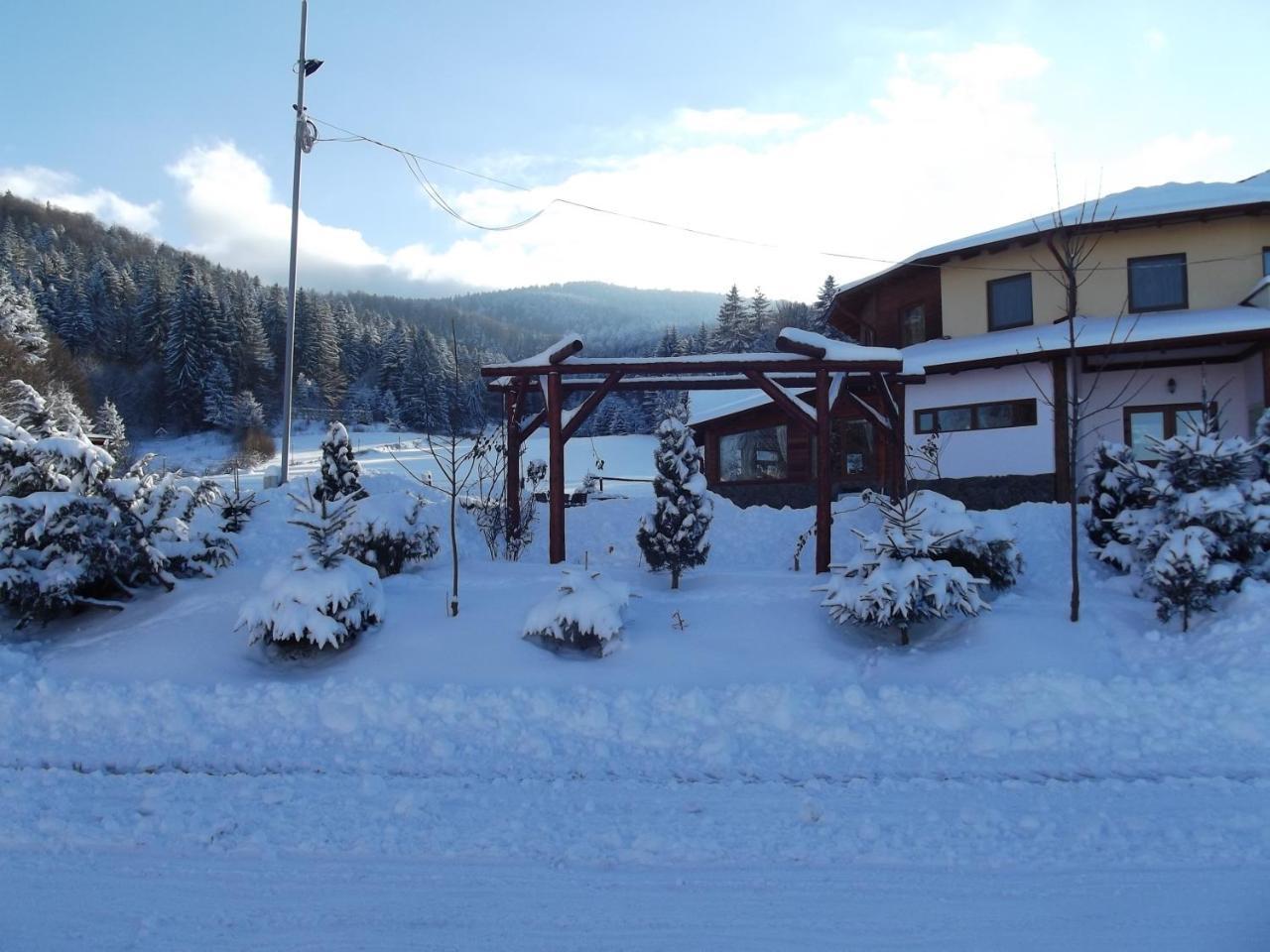 Pensiunea Casa Zmeilor Dragus Exteriér fotografie